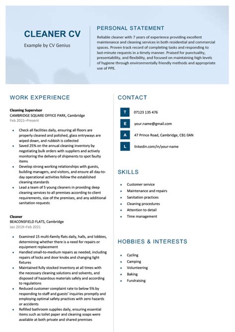 cleaner cv examples